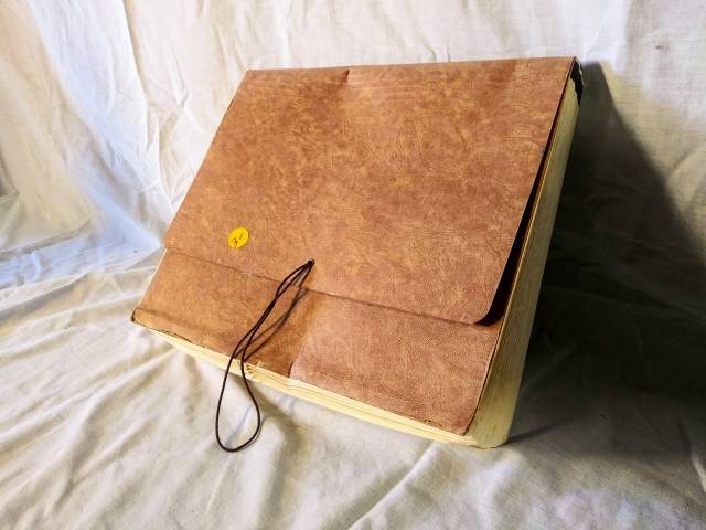 Accordion file organizer
