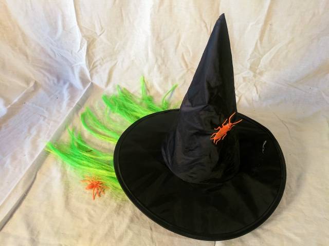 Witches hat with fluorescent green hair