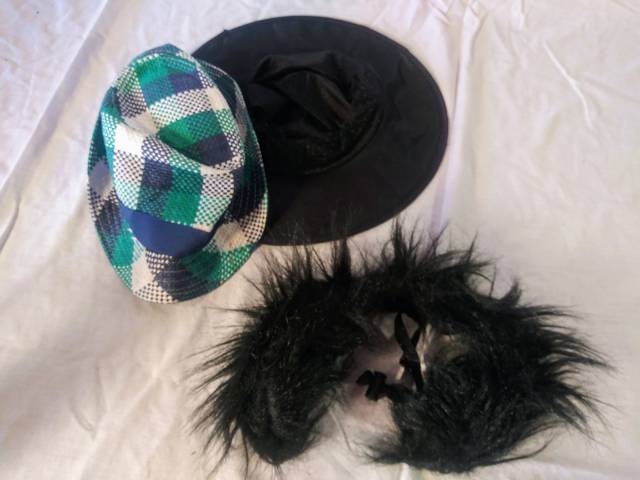 Assorted costume hats