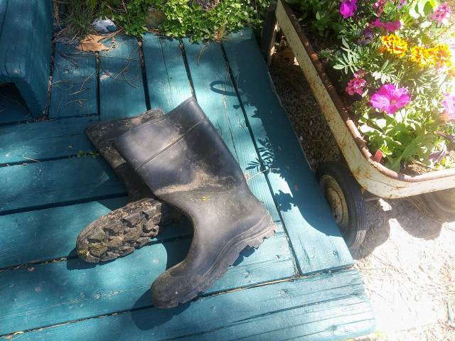 Galoshes